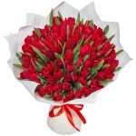 101 красный тюльпан