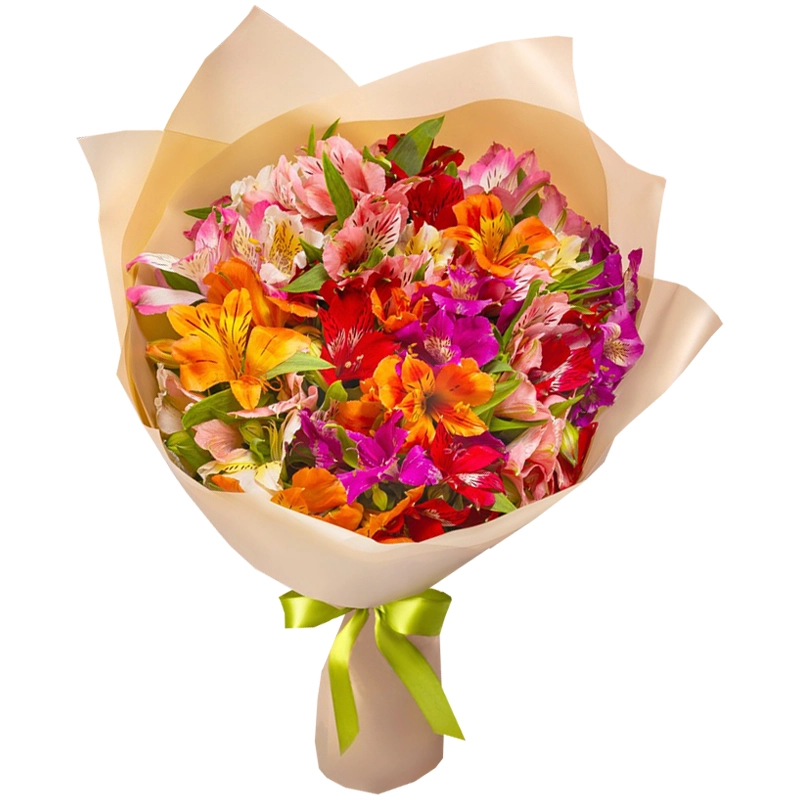 25 ярких аьстромерий