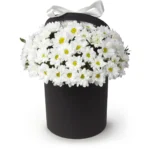 Цветы в коробке Утренняя почта